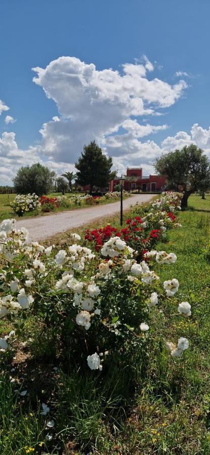 Bed&Breakfast Villa Michela Alezio Exterior foto