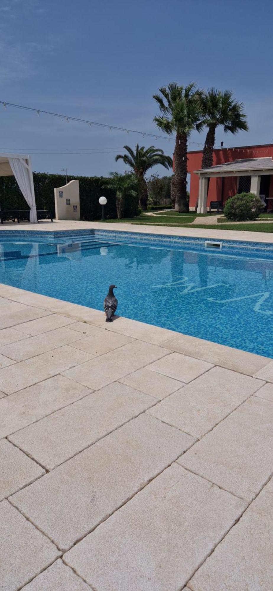 Bed&Breakfast Villa Michela Alezio Exterior foto